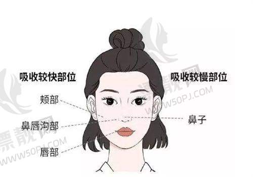 上海伊莱美医疗美容医院