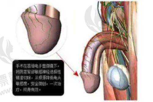 上海愉悦美联臣医疗美容医院