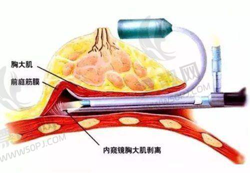 上海天大医疗美容医院——刘先超医生护航