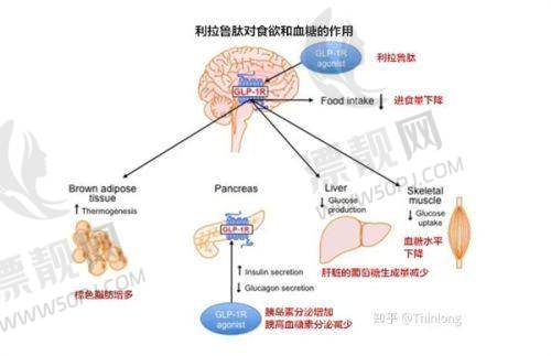 上海市医美多少钱？上海医美整形美容医院价格大揭秘，哪家性价比高一看便知！