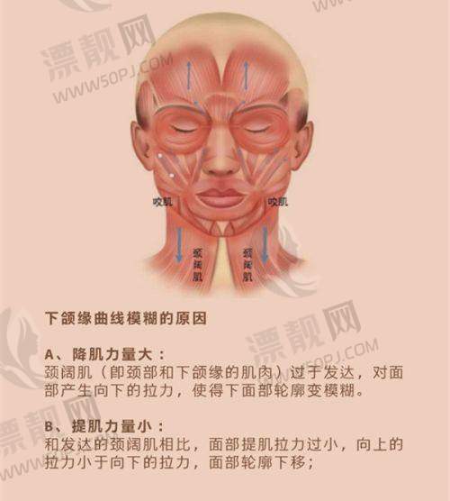 上海伊莱美医疗美容医院