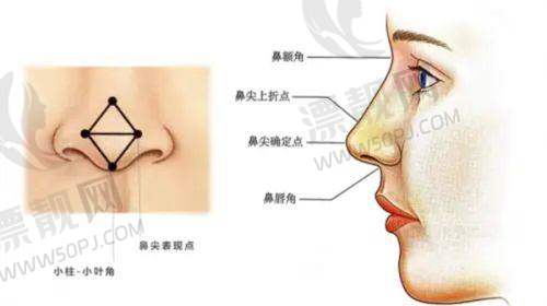 上海玫瑰医疗美容医院
