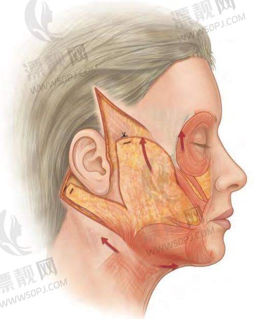 北京加减美医疗美容的地址与交通指南
