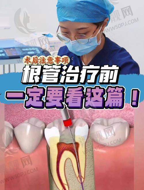 网友真实口碑评价合集