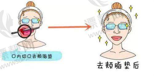 上海薇琳医疗美容医院：轻医美与高阶整形理想融合