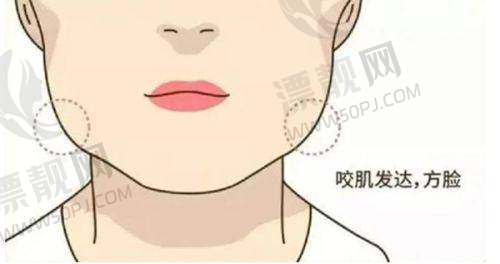 鼻部整形项目