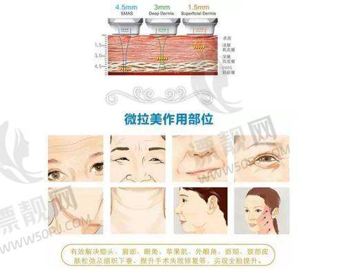 综合评价与选择建议