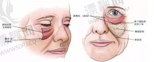行业影响力
