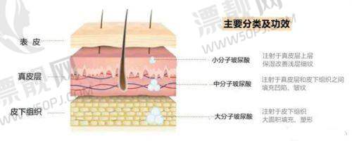 与其他口腔机构对比