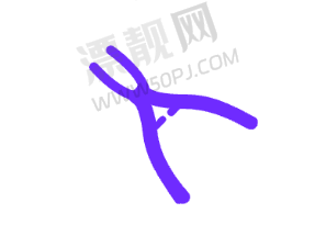 二、连锁口腔机构探秘(技术+服务兼顾)