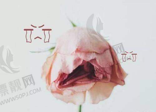 北京嘉禾整形医院的真人实例:变得更美之旅大公开