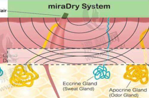 北京嘉禾整形怎么乘地铁去?北京嘉禾医美整形医院怎么样及北京嘉禾妇儿医院地铁路线揭秘