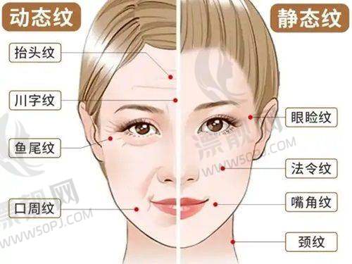 医院介绍 – 北京嘉禾的正规性与温馨环境