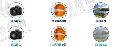 10. 银川市临时急救医院眼科