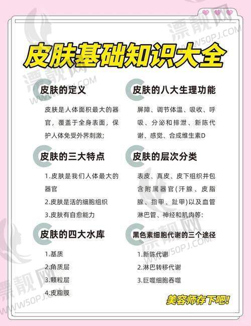 来!几个不同维度下的“小型榜单”给你快速直观参考
