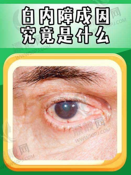 1. 银川市第一人民医院