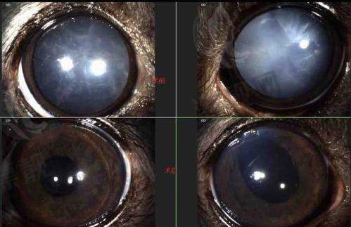总结:哪家适合你?按需选择更重要!