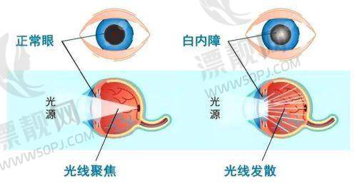 2. 宁夏回族自治区人民医院