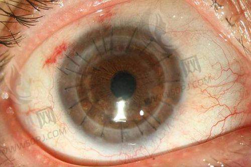 9. 兴庆区诺贝尔口腔门诊部(眼耳鼻喉联合科)