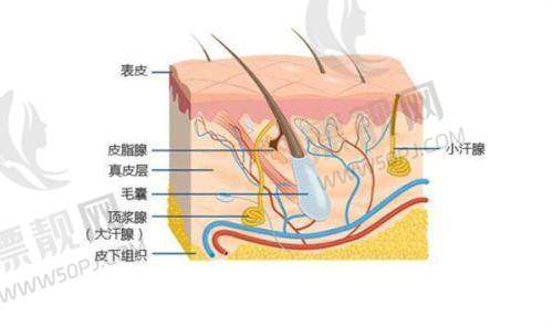 上海天大医疗美容医院:个性化服务贴心