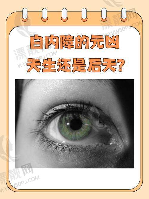 5. 上海艾嘉瞳心眼科门诊部——悦享就诊体验的温馨空间