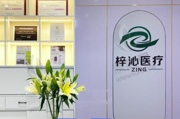 广州爱丽雅思梓沁医疗美容门诊部